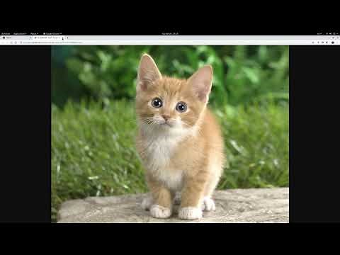 How to download file using Angular 9