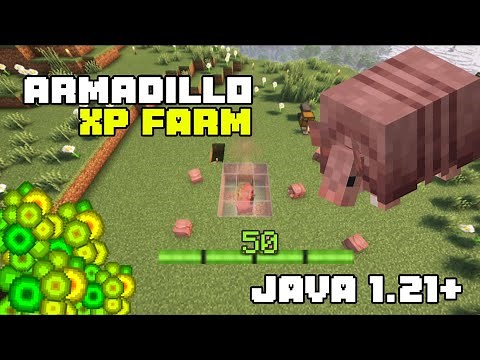 THE NEW BEST XP FARM IN MINECRAFT JAVA 1.21+ - ARMADILLO FARM (TUTORIAL)