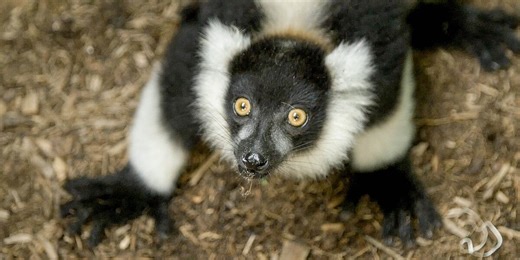 Audubon Nature Institute pauses membership sales after backlash over rate increases