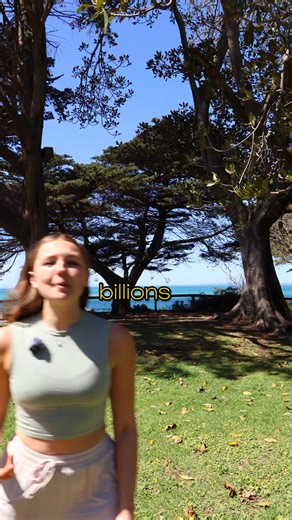 151 reactions · 15 comments | Ever think about where your toothpaste tube ends up? We did — and we built something better. Refillable, reusable, and made to last. Because small swaps really do make a big difference.  | Thrive Made Simple | Facebook