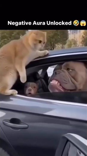 Negative aura unlocked 😂 #youtubeshorts #ytshorts #fyp