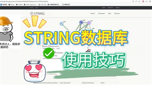 【String数据库】从入门到精通：一键挖掘蛋白互作的秘密