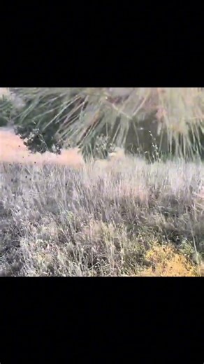 Dear gosh! #discgolf #fishbros #funny #fail