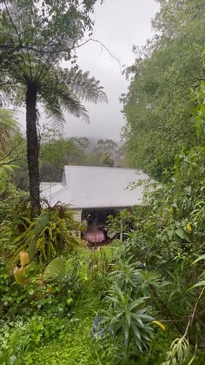 Mexican bread pudding. My family’s recipe, a super simple and heartwarming dessert. We normally make it during Christmas/NYE time or on cold rainy days. I love eating it with milk! 🥖🍌🥜 #breadpudding #mexicanfood #mexicandessert #banana #cheese #raisins #recipe | Delicioso Mexicano