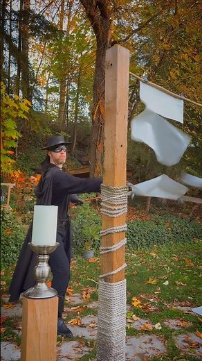 The fox strikes again 🦊 #zorro #saber #whip
