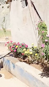 First consort by the police for threatening. Ep 3 | Weronika Fan