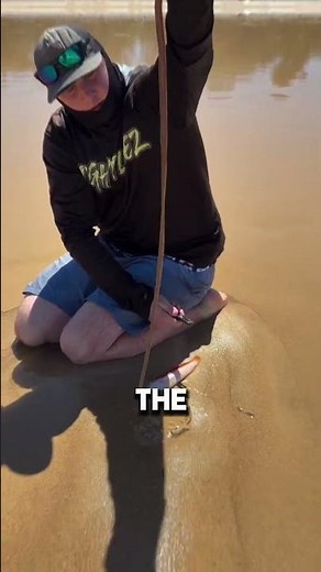 The Secret Creature Living Under Beach Sand