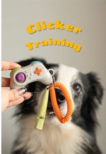 Teaching Click to Calm: Effective Training for Reactive Dogs