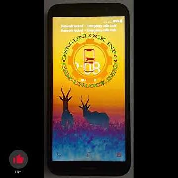 Hisense U50 Lite (HWCD103E) Network Unlock Code BY IMEI