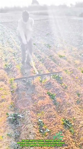 This Simple Rake Tool Perfectly Shapes Soil Rows for Better Growth