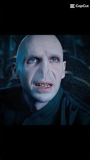 Voldmort Got Absolutely Cooked...💀💀 #harrypotter