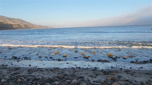 Leo Carrillo State Park in Malibu was named after Leo Carrillo (1880-1961), actor, preservationist, and conservationist. He served on the California Beach and Parks commission for 18 years and was instrumental in the state's acquisition of the Hearst property at San Simeon. Leo's greatest fame came from his portrayal of Pancho, the sidekick to Duncan Renaldo's Cisco Kid, an early 1950s TV series. Leo Carrillo State Park, with its 1 1/2 miles of beach, tide pools, campgrounds, and more, is locate