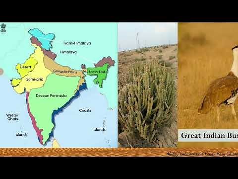 Biogeographic Zones of India | Mega Biodiversity Nation | Biodiversity | EVS | Environmental Studies
