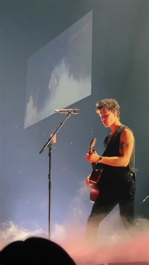 Bad Reputation de Shawn Mendes: Letra e Tradução