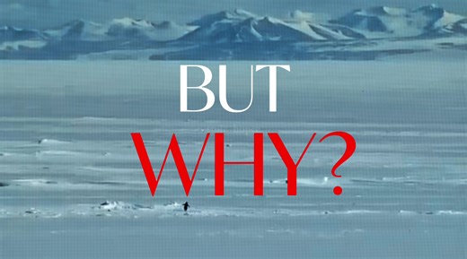 Creative Ideas Inspired by Penguins in Anime