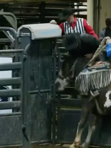 CowboyChannel on Reels