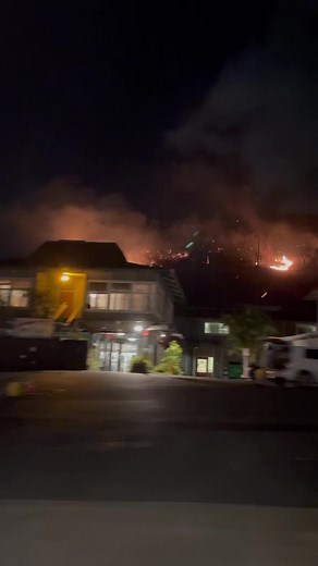 #wildlife #hawaii #oahu