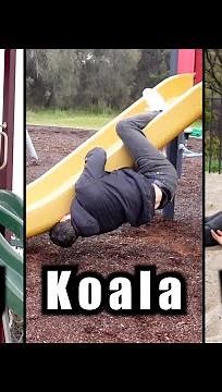 How Animals Go Down a Slide (Part 1-3) (Funny Compilation)