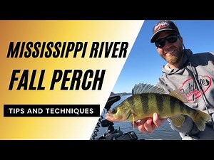 Fall Perch on Mississippi River Pool 9 (Featuring DWS Outdoors) | Fishing for Fall River Perch