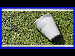 Polystyrol: Wissenswerte Informationen über den Kunststoff