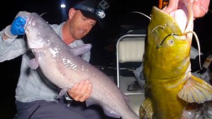 Night catfishing adventure on Virginia’s dan river