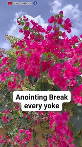 26K views · 524 reactions | Anointing Break every yoke | Nkechi Abugu | Facebook