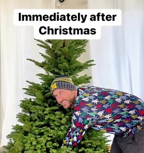 Best way to remove Christmas tree This original video was produced by Network Media LLC, and Liz & Jeff. #christmastree #treeremoval #bedsheet #afterchristmas | Liz & Jeff