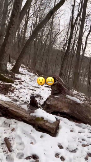 POV: Icy Trail Forest Run🏃‍♂️ ❄️