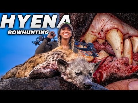 Sarah Bowmar Bowhunts Hyena & Waterbuck in Tanzania