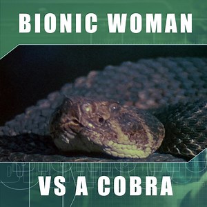 Watching Bionic Woman with my family was a weekly ritual. 💖 #FamilyTime | Bionic Woman