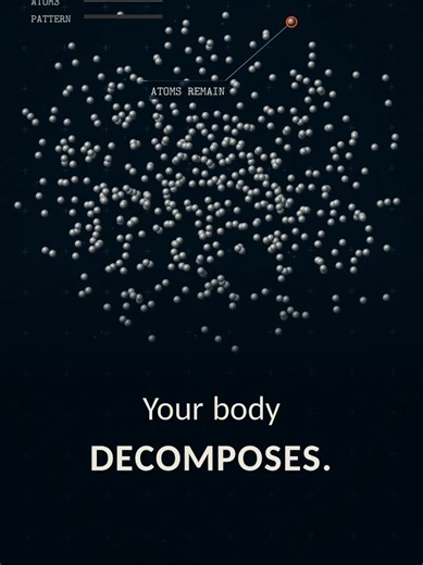 What Actually Dies When You Die? The Science of Atoms & You