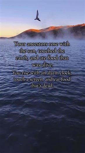 Idahohighcountry on Instagram: "Did you know?! ⬇️😳 Neanderthals survived as highly skilled, close-range apex predators who obtained 80–90% of their calories from hunting large Ice Age animals (mammoth, woolly rhino, bison, reindeer, horse, ibex, etc.) by ambushing herds in small cooperative groups, driving them into natural traps (ravines, cliffs, bogs), and killing them at point-blank range with heavy wooden thrusting spears tipped with sharp Levallois/Mousterian stone points; they took enormo