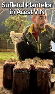 🍷Vinul Interzis al Antichității: Elixirul care Hrănea Zeii și Vindeca Oamenii 🍷Astfel de Vin vom servi în tabere în 2026 Știai că vinul cu plante macerat la rece era considerat „elixirul zilnic” al filosofilor și medicilor din Grecia și Roma Antică, unde plantele nu erau fierte, ci lăsate să-și transfere lent sufletul în vin? 🍷🌿 O tradiție vie, păstrată din temple și taverne antice. ✨ Beneficii inspirate din rețete vechi: 🍇 Susține vitalitatea organismului 🧠 Claritate mentală și echilibru 