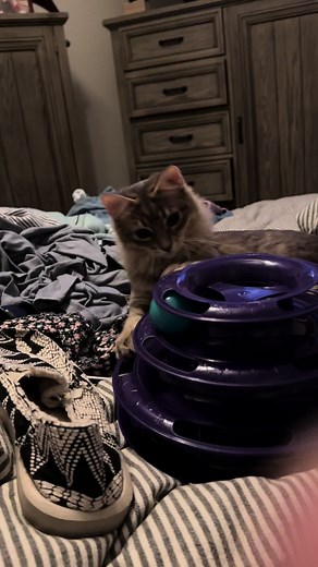 Sarah White (@sarahwhite289)’s videos with original sound - Sarah White