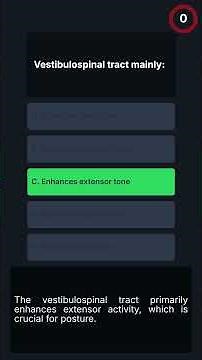 MRCP-1 Neuroanatomy Pathways: Spinal Tracts & Cortical Regions