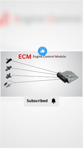 ECM ||Engine Control Module #ecm #bcm #engine #control #module #sensor #timing #injection #rail