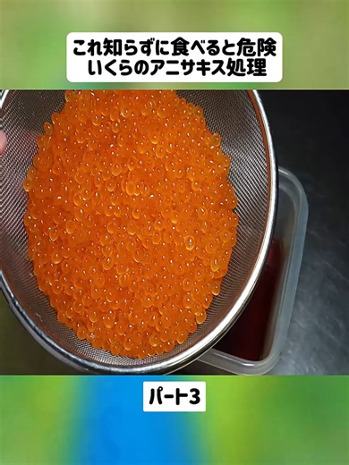 いくらのアニサキス処理と美味しい下処理法