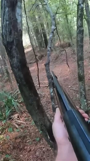 Deer Hunting season #deerhunting #deerseason