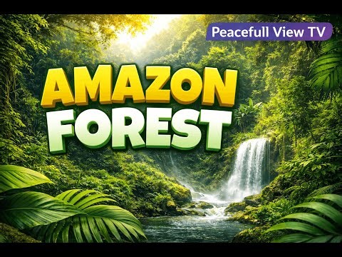 Amazon Forest 🌳 | Pure Nature Views for Peace & Relaxation