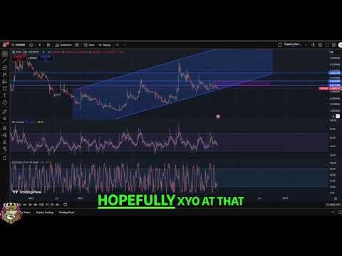 XYO Crypto Weekly Update: Price Analysis & Predictions! #shorts