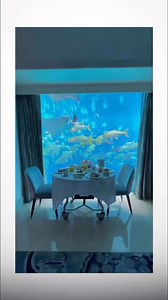 100 days survival challenge in Atlantis for $ 1 000 000 million dollars | Follow Real Facts For more #challenge #process #facebook #instagram #style #dollar #photooftheday #production #tiktok #Youtube #photography #million #dollar #atlantis #underwaterlife #fypシ゚ | Real Facts