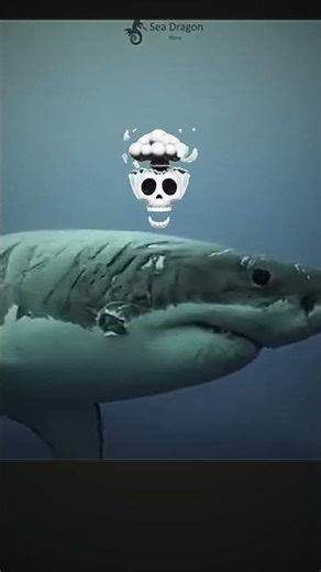 Shark body…🗿 #gym #motivation #viral #instagram #feedshorts #ytshorts #gymexercises #aesthetic