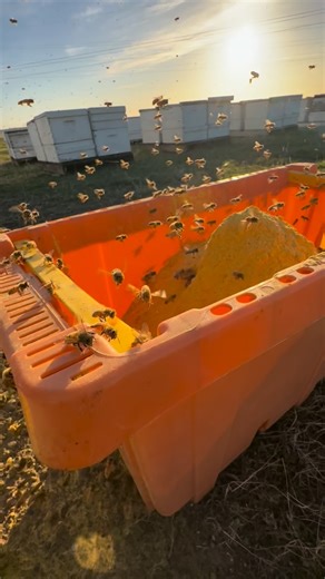 3K views · 19K reactions | Winter is coming, and with it, the...