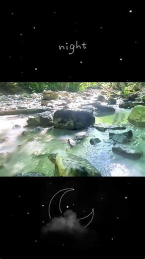 Serene Forest Stream With Soft Flowing Water Sounds | Peaceful Daze☀️