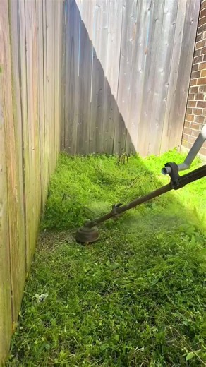Gardener's Cleanup: Pruning and Cutting Grass