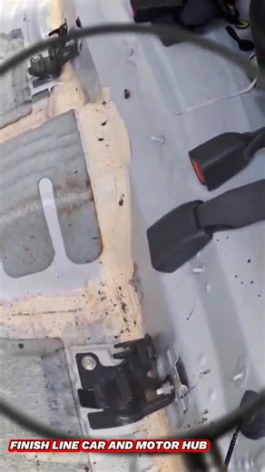 COCKROACH INFESTATION IN CAR SIGNS ☝️ Look for: 🪳 Live roaches (especially at night) 🪳 Egg cases (small brown capsules) 🪳 Droppings like black pepper 🪳 A musty or oily smell. IF YOU SEE THIS SIGNS, PA DETAIL KA NA!! For inquiries, you may send us message at Finish Line Car and Motor Hub or Finishline Car Detailing #pioneeringhomeservicecardetailing #alagangfinishlineyan #finishlinecarmothub #fromourgaragetoyours #autodetailing #welikeitdirty #cardetailing #homeservice #h͜͡i͜͡g͜͡h͜͡l͜͡i͜͡g͜͡h