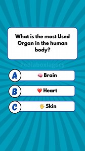 🧠 Human Body Quiz: What Is the Most Used Organ in the Human Body? #quiz #QuizTime #noblequiz #fun #fblifestyle | Pediabox Lagecy