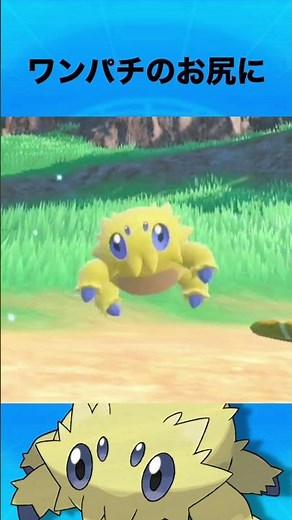 バチュルについて #ポケモン #バチュル