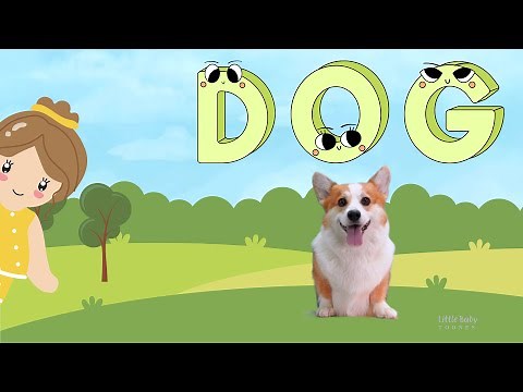 Dog Phonics, Spell Dog, Preschool Learning, Baby Can Speak