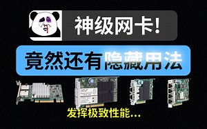 【漫游挨踢】网卡的隐藏用法？神级网卡轻松驾驭（X540 544  561 331 网卡及RDMA InfiniBand 桥接 网桥 Mac 万兆 等知识科普